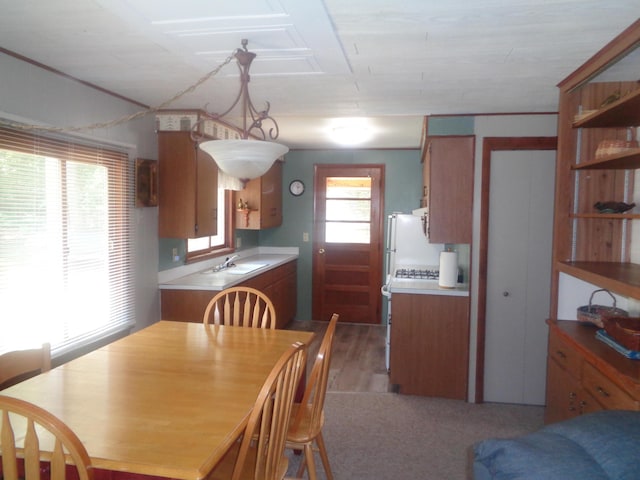 205 Jackson Blvd, Roscommon, MI 48653 - photo 9