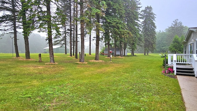 7717 Weiss Rd, Alpena, MI 49707 - view of green lawn