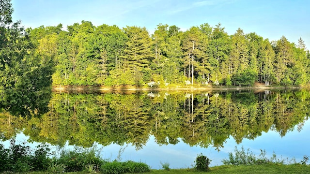 7717 Weiss Rd, Alpena, MI 49707 - water view featuring a forest