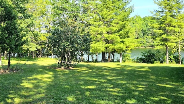 7717 Weiss Rd, Alpena, MI 49707 - photo 5