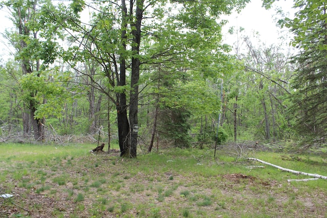 4188 Centerline Rd, Lewiston, MI 49756