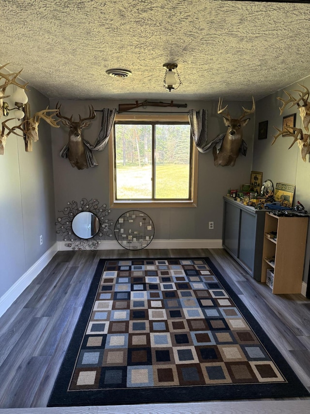 2493 S Horseshoe Trl, Grayling, MI 49738 - kitchen with wood finished floors and a textured ceiling