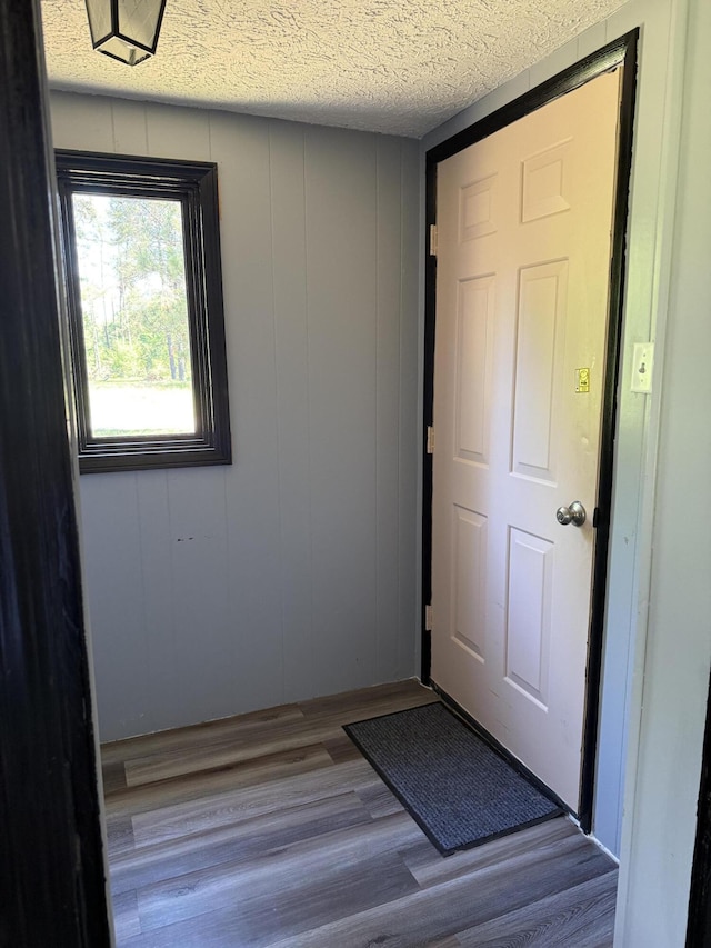 2493 S Horseshoe Trl, Grayling, MI 49738 - doorway to outside featuring wood finished floors, a textured ceiling, and a decorative wall