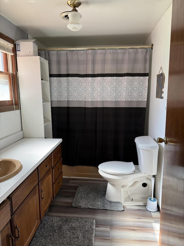 2493 S Horseshoe Trl, Grayling, MI 49738 - bathroom featuring vanity, wood finished floors, and curtained shower