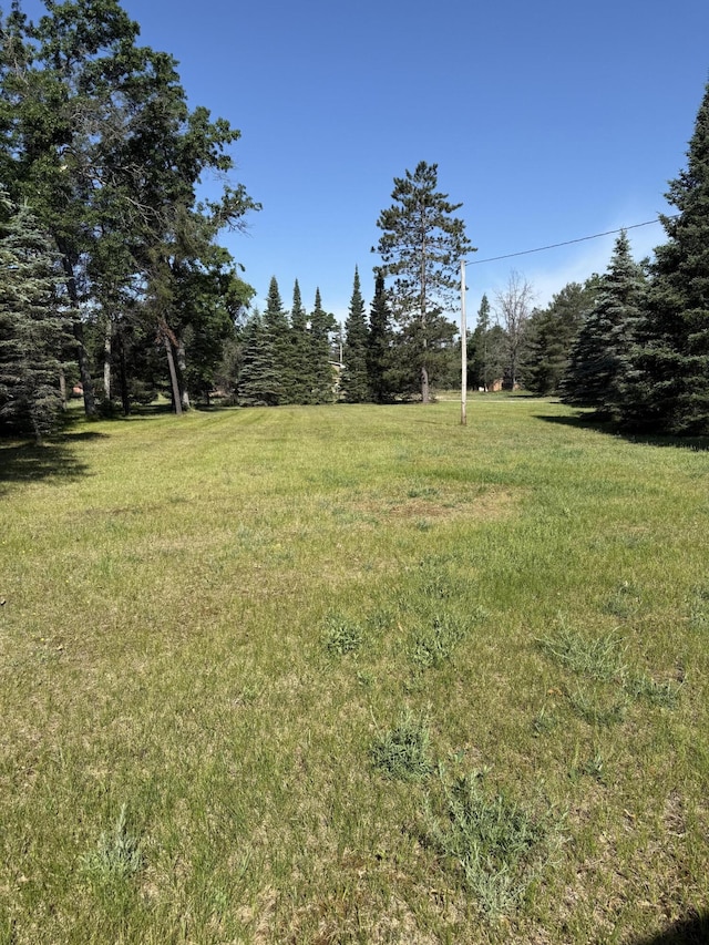 2493 S Horseshoe Trl, Grayling, MI 49738 - view of grassy yard with a forest view