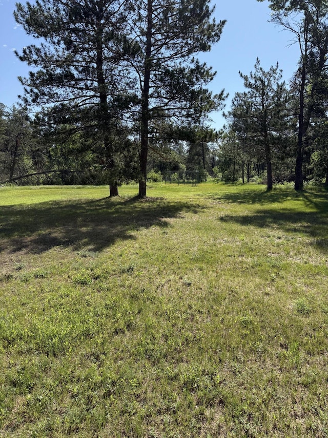2493 S Horseshoe Trl, Grayling, MI 49738 - view of grassy yard