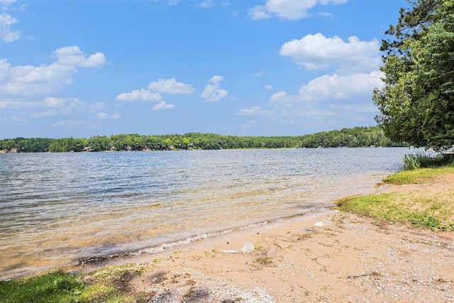 4160 S Vaughn Lake Rd, Glennie, MI 48737 - photo 24
