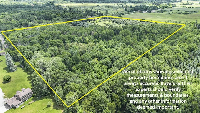 4160 S Vaughn Lake Rd, Glennie, MI 48737 - photo 28
