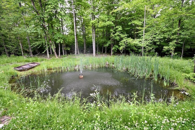 1979 N Everett Rd, Roscommon, MI 48653 - photo 11
