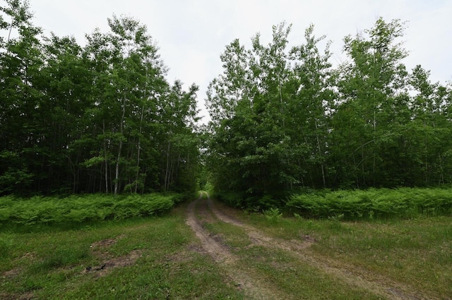 1979 N Everett Rd, Roscommon, MI 48653 - photo 12