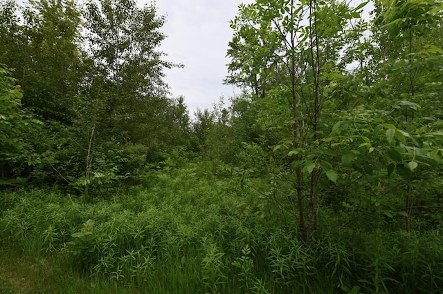 1979 N Everett Rd, Roscommon, MI 48653 - photo 13