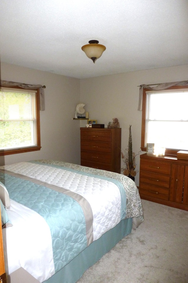 2121 N Partridge Point Rd, Alpena, MI 49707 - photo 15