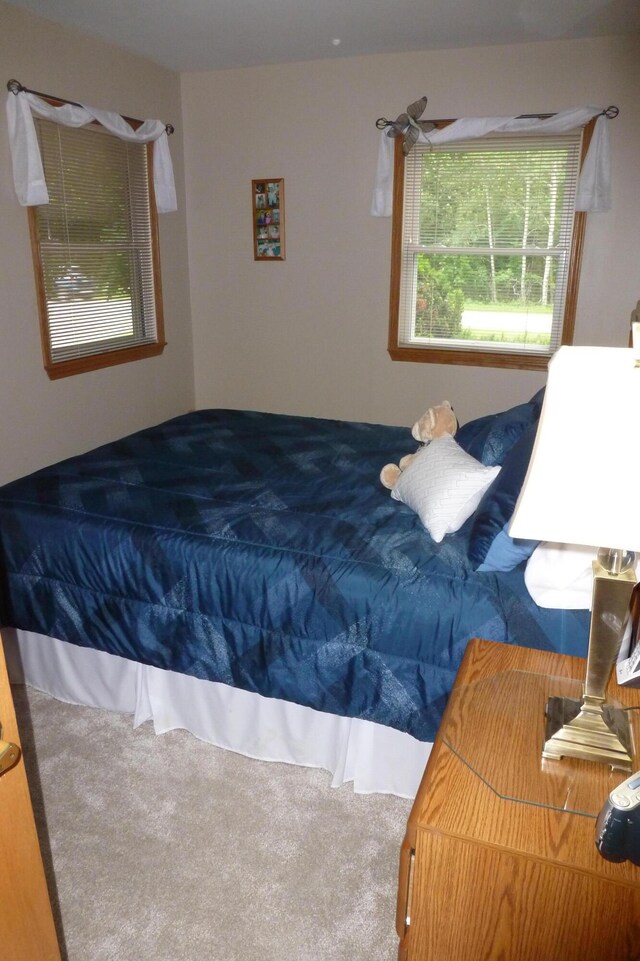 2121 N Partridge Point Rd, Alpena, MI 49707 - photo 13
