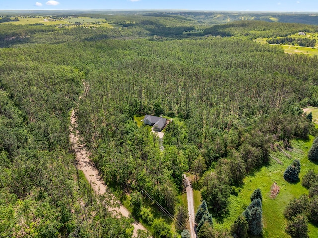 1994 Jackson Hill Rd, Gaylord, MI 49735 - photo 53
