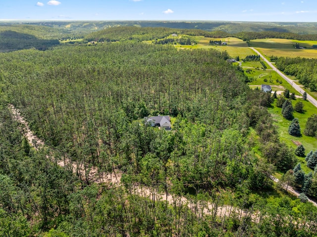 1994 Jackson Hill Rd, Gaylord, MI 49735 - photo 55