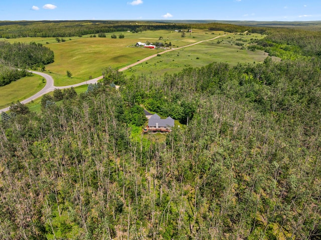 1994 Jackson Hill Rd, Gaylord, MI 49735 - photo 59