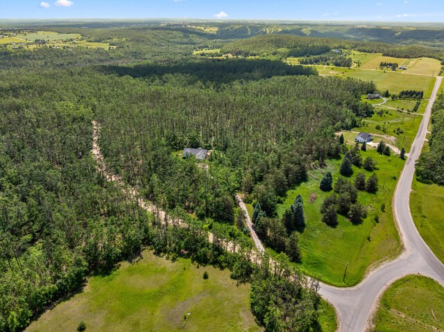 1994 Jackson Hill Rd, Gaylord, MI 49735 - photo 54
