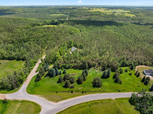 1994 Jackson Hill Rd, Gaylord, MI 49735 - photo 52