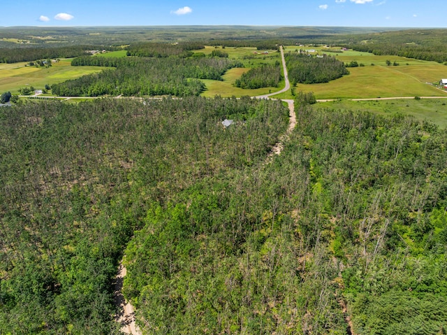 1994 Jackson Hill Rd, Gaylord, MI 49735 - photo 57