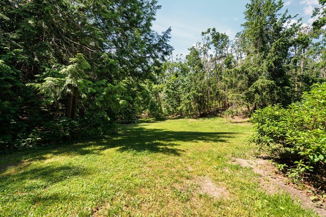 1252 Krys Rd, Gaylord, MI 49735 - photo 44