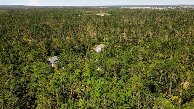 1252 Krys Rd, Gaylord, MI 49735 - photo 61