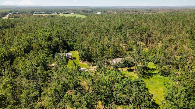 1252 Krys Rd, Gaylord, MI 49735 - photo 51