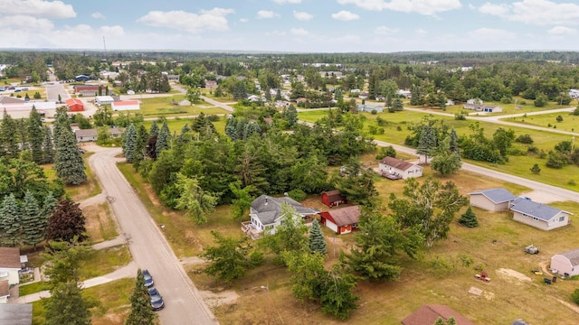 2731 Gregory St, Lewiston, MI 49756 - aerial view of property's location featuring a tree filled landscape