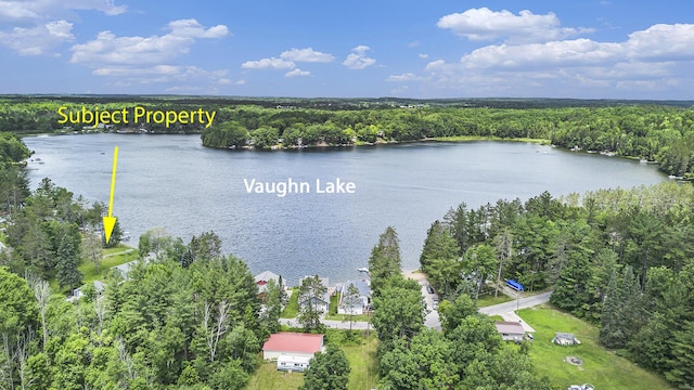 LOTS7 Lake St, Glennie, MI 48737 - photo 7