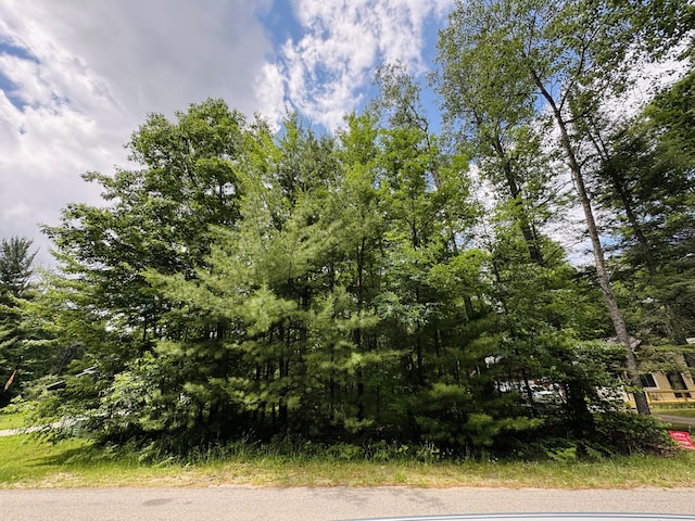 LOT117 Goldenrod Dr, Houghton Lake, MI 48629 - photo 6