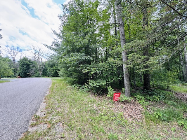 LOT117 Goldenrod Dr, Houghton Lake, MI 48629 - photo 8