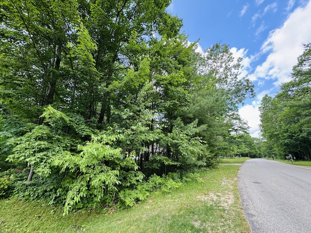 LOT117 Goldenrod Dr, Houghton Lake, MI 48629 - photo 7