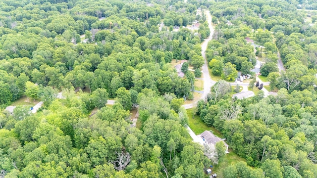 LOT117 Goldenrod Dr, Houghton Lake, MI 48629 - photo 4