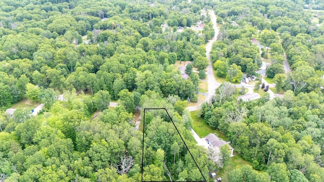 LOT117 Goldenrod Dr, Houghton Lake, MI 48629 - photo 3