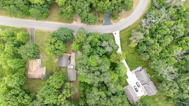 LOT117 Goldenrod Dr, Houghton Lake, MI 48629 - photo 5