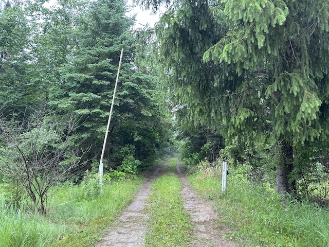 16831 Moores Landing Rd, Lachine, MI 49753 - view of road featuring a view of trees