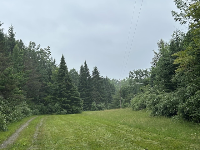 16831 Moores Landing Rd, Lachine, MI 49753 - view of yard with a wooded view