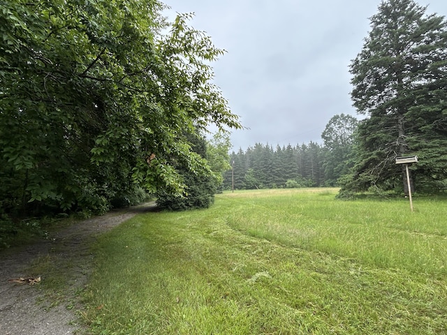 16831 Moores Landing Rd, Lachine, MI 49753 - view of yard featuring a wooded view