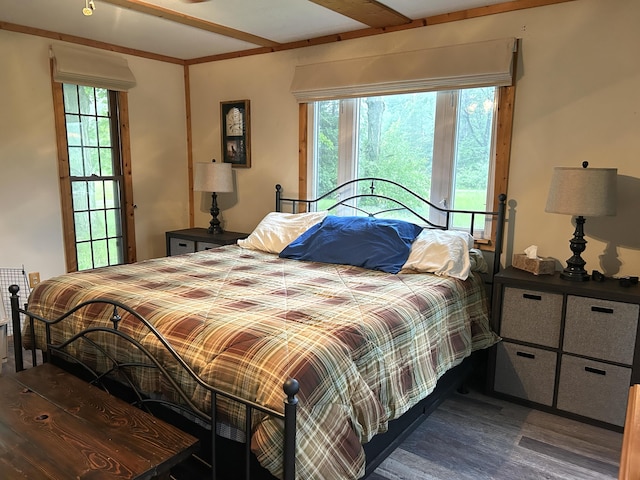 16831 Moores Landing Rd, Lachine, MI 49753 - bedroom featuring multiple windows and dark wood-style floors