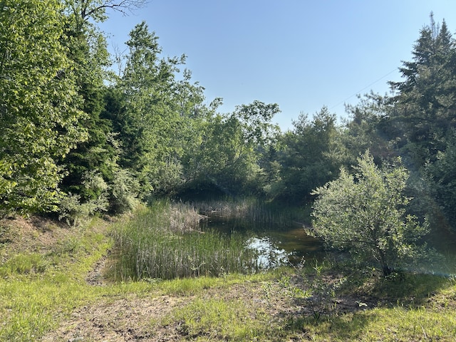16831 Moores Landing Rd, Lachine, MI 49753 - view of tree filled area