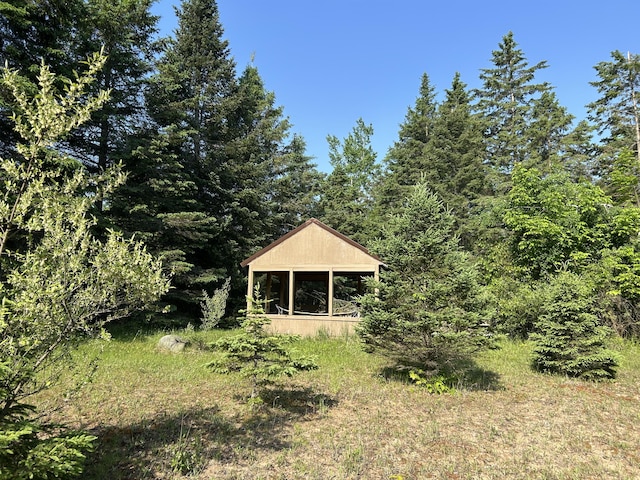 16831 Moores Landing Rd, Lachine, MI 49753 - view of yard featuring a wooded view