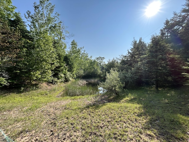 16831 Moores Landing Rd, Lachine, MI 49753 - view of nature