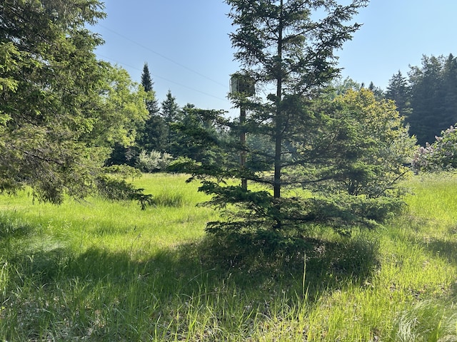 16831 Moores Landing Rd, Lachine, MI 49753 - view of local wilderness
