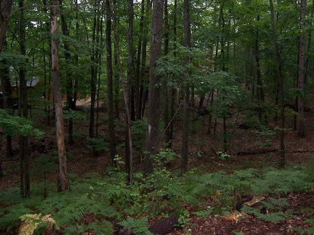 409 Marvin Rd, Roscommon, MI 48653 - view of woods