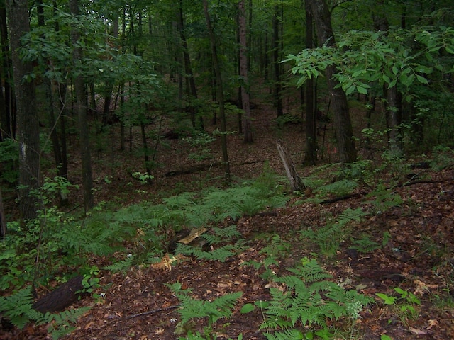 409 Marvin Rd, Roscommon, MI 48653 - view of tree filled area