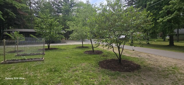 1161 Lagoon St, Lewiston, MI 49756 - surrounding community