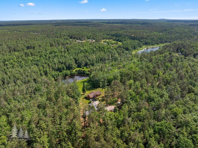 881 N Red Oak Rd, Lewiston, MI 49756 - drone / aerial view of a nearby body of water