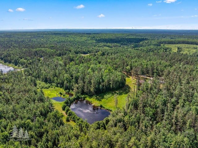 881 N Red Oak Rd, Lewiston, MI 49756 - bird's eye view of a forest and a large body of water