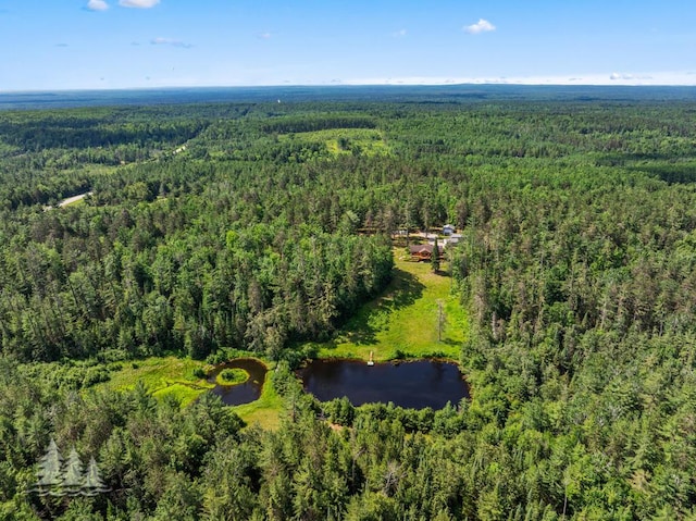 881 N Red Oak Rd, Lewiston, MI 49756 - drone / aerial view of a forest and a nearby body of water