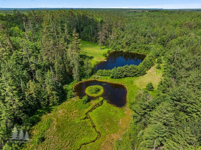 881 N Red Oak Rd, Lewiston, MI 49756 - drone / aerial view of a heavily wooded area and a nearby body of water