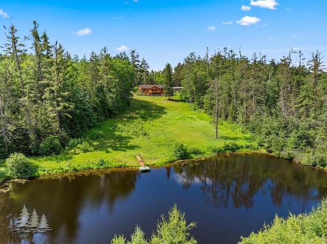 881 N Red Oak Rd, Lewiston, MI 49756 - water view featuring a forest